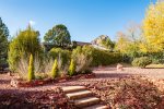 private backyard setting
